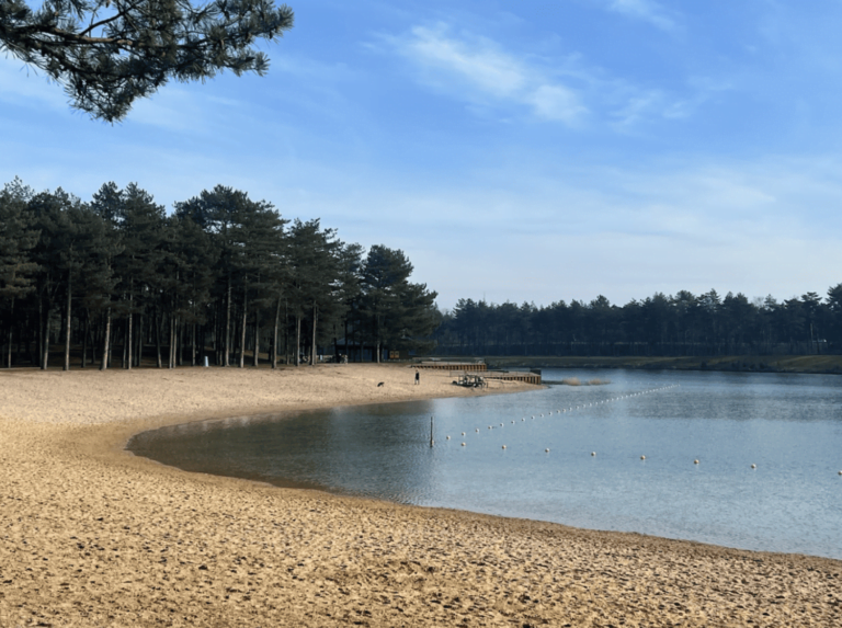 De Zandenplas een meer en zandstrand vlakbij Tiny House Onyx op de Veluwe