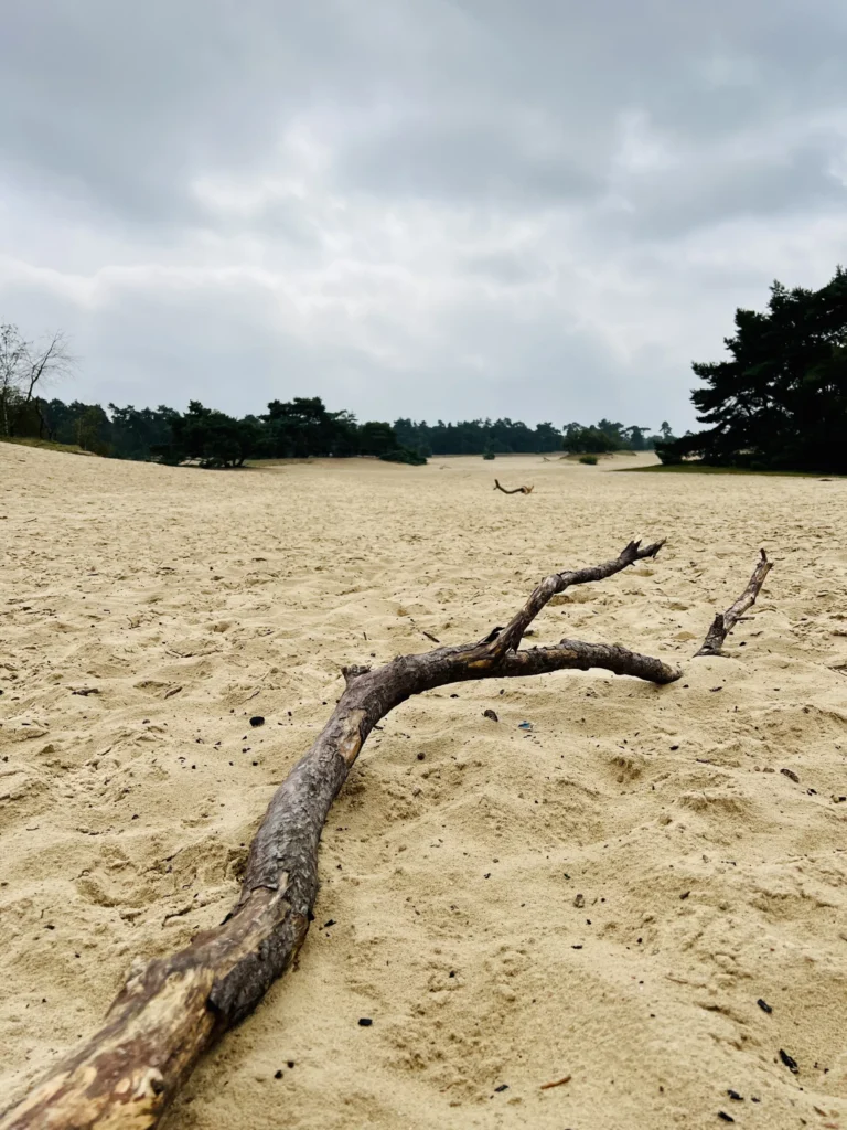 Zanderstuiving De Haere, een prachtig wandelgebied bij Tiny House Onyx